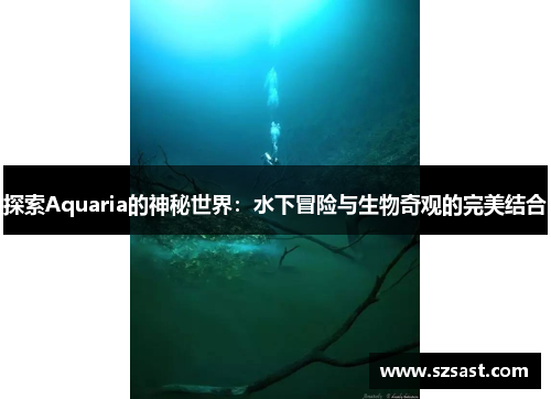 探索Aquaria的神秘世界：水下冒险与生物奇观的完美结合