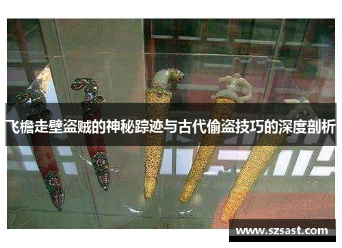 飞檐走壁盗贼的神秘踪迹与古代偷盗技巧的深度剖析